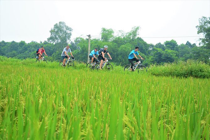 Bicycle Tours Hanoi: Full Day Bicycle Tour Hanoi Countryside - FAQ (Frequently Asked Questions)