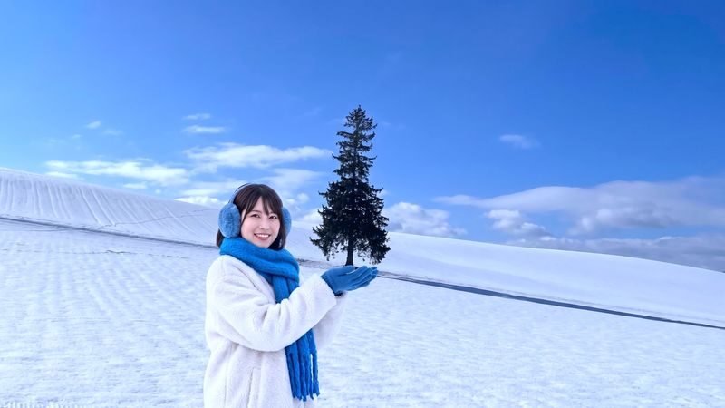 Biei, Furano Lavender, Ningle Terrace & Melon Buffet Bus Tour - The details that matter before you book