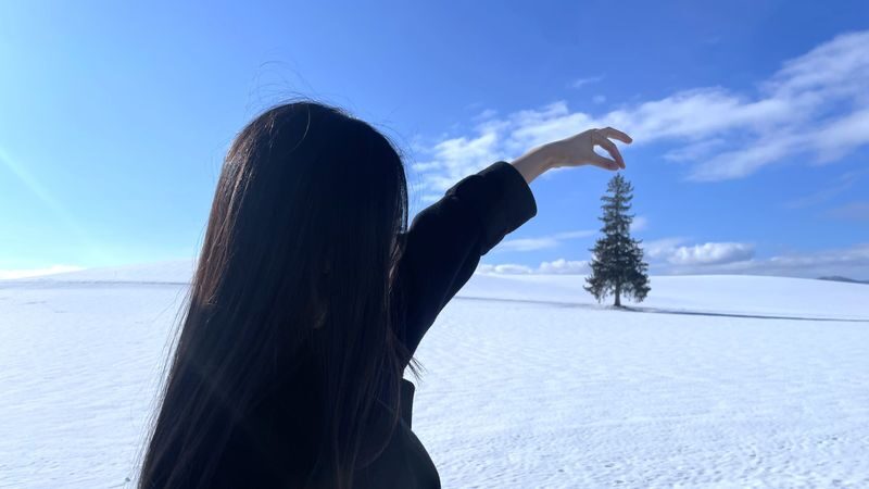 Biei, Furano Lavender, Ningle Terrace & Melon Buffet Bus Tour - Ferme La Terre Biei: lunch or a careful plan