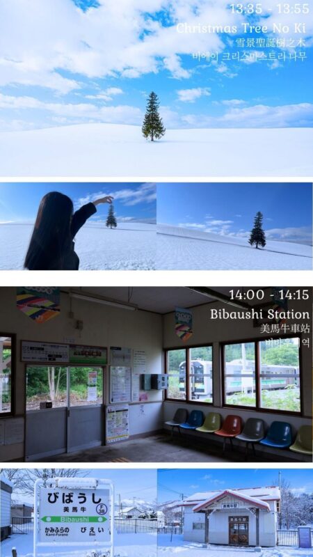 Biei, Furano Lavender, Ningle Terrace & Melon Buffet Bus Tour - Is the price good value?
