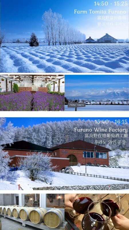 Biei, Furano Lavender, Ningle Terrace & Melon Buffet Bus Tour - Who should choose this tour?