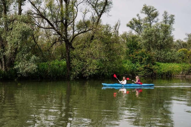 Biesbosch: Kayak Rental with Route Map and Life Jacket - In-Depth Review of the Experience
