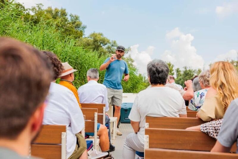 Biesbosch: National Park Cruise - Biesbosch: National Park Cruise – A Relaxing Waterway Adventure in South Holland