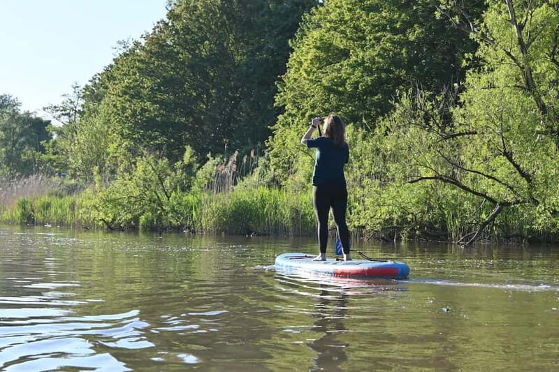 Biesbosch: SUP Board Rental - The Sum Up