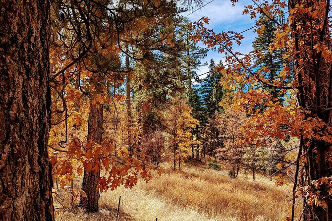 Big Bear Fall Colors Hiking Tour in Southern California - Big Bear Fall Colors Hiking Tour in Southern California