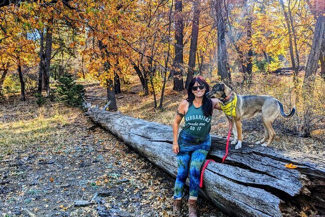 Big Bear Fall Colors Hiking Tour in Southern California - An In-Depth Look at the Big Bear Fall Colors Hiking Tour