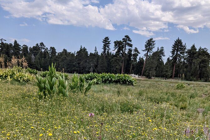 Big Bear Jeep off-road tour with Hike to Bluff Lake Reserve - Final Thoughts