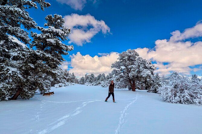 Big Bear Lake Snow Play Adventure - Key Points