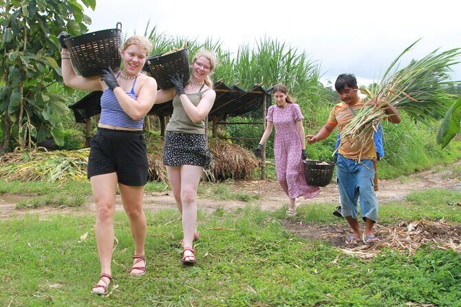 Big Boy Elephant Sanctuary and Bamboo Rafting Experience - In The Sum Up