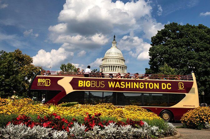 Big Bus DC: Hop-On Hop-Off Sightseeing Tour with 17 Stops - Who Should Consider This Tour?