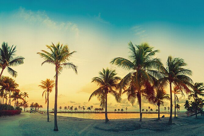 Big Bus Miami: Sightseeing Night Tour by Open-top Bus - Detailed Breakdown of the Route and Stops