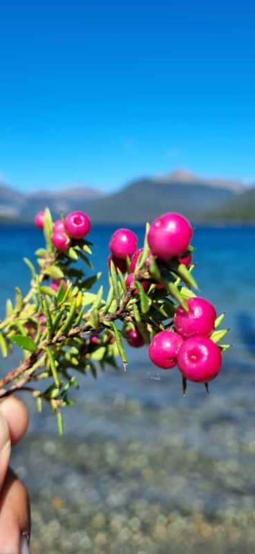 BIG FUEGIAN LAKES OFF-ROAD 4x4 - FAQ: Your Questions Answered