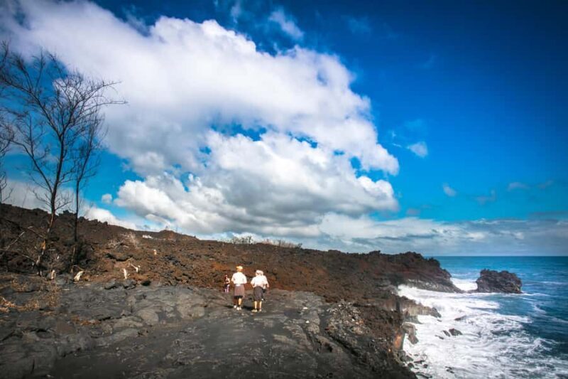 Big Hawaii: Private Guided Van Tour - Why Choose This Tour?