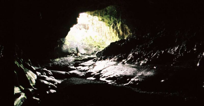 Big Hawaii: Private Guided Van Tour - Exploring the Big Hawaii Private Van Tour in Detail