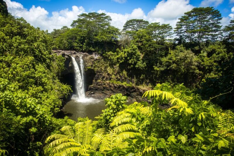Big Hawaii: Private Guided Van Tour - The Sum Up
