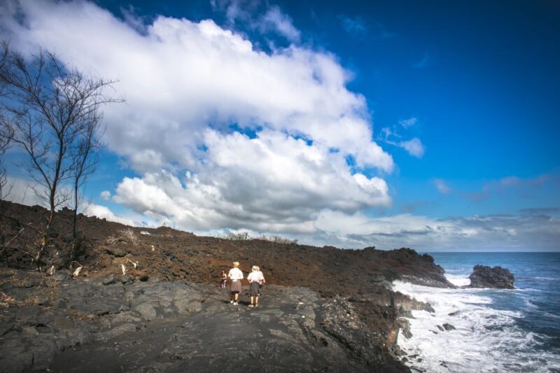 Big Hawaii: Private Guided Van Tour - FAQs