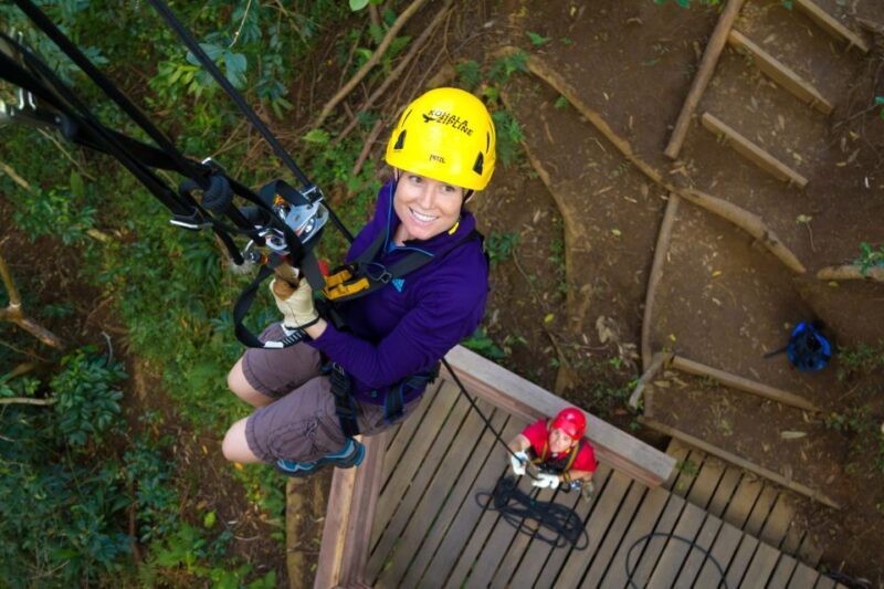 Big Island: 3-Hour Kohala Canopy Zipline Adventure - Key Points