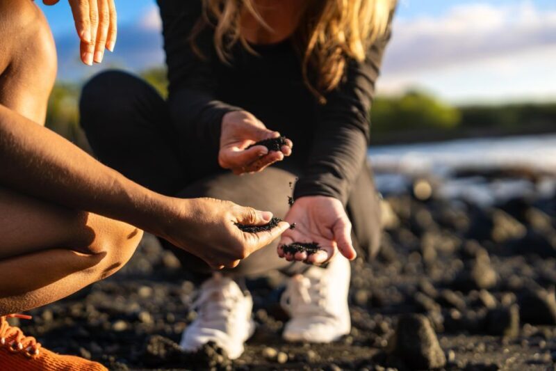 Big Island: Coffee, Black Sand, Volcano and Waterfall Tour - Final Thoughts: Why This Tour Is Worth It