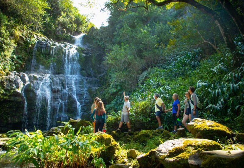 Big Island: Full Day Adventure Tour of the Kohala Waterfalls - Final Thoughts: Is This Tour Right for You?