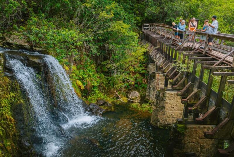Big Island: Full Day Adventure Tour of the Kohala Waterfalls - The Sum Up