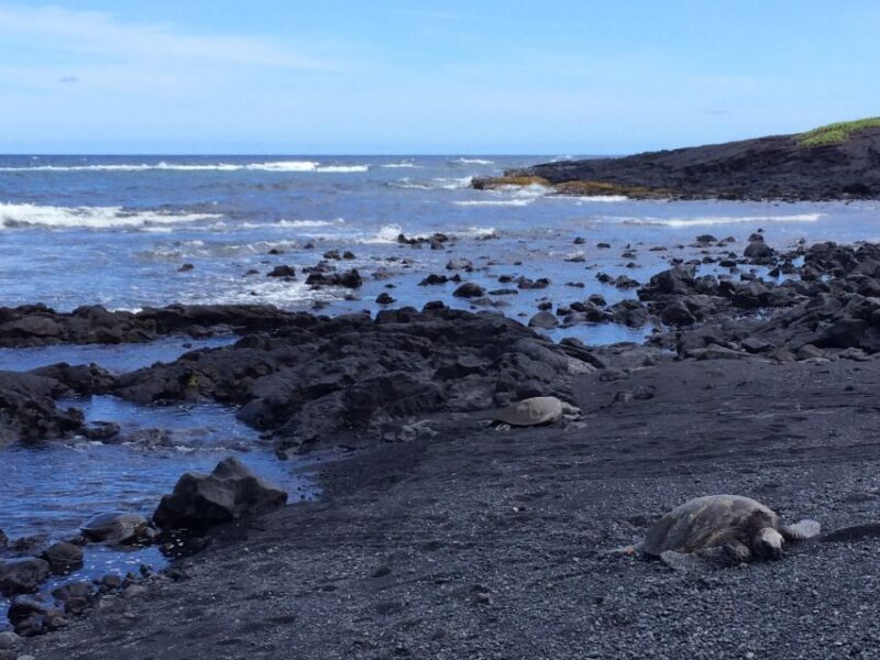Big Island: Full Day Circle Island Tour From Kona - Who Will Appreciate This Tour?