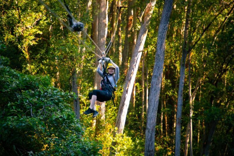 Big Island: Full-Day Kohala Zipline and Waterfall Adventure - Final Thoughts