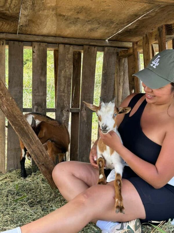 Big Island: Hand Feed & Cuddle Baby Goats - Who Will Love This Tour?