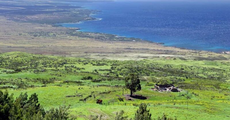 Big Island, Hawaii: Polaris Slingshot Rental - Big Island, Hawaii: Polaris Slingshot Rental — A Unique Hawaiian Adventure