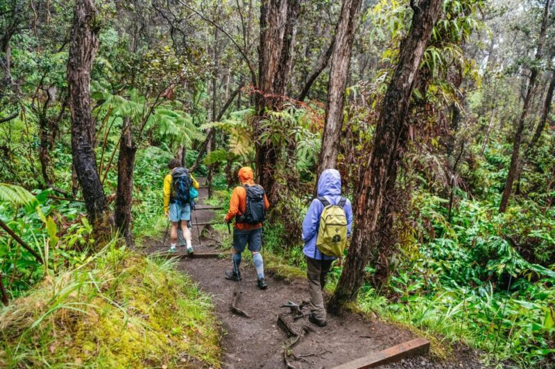 Big Island: Hawai'i Volcanoes National Park Guided Hike - The Sum Up: Is This Tour Worth It?