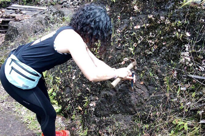 Big Island Jungle Tour with Banana and Guava Green Tea - A Practical Look at the Big Island Jungle Tour with Banana and Guava Green Tea