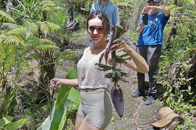 Big Island Jungle Tour with Banana and Guava Green Tea - Key Points