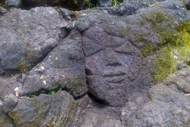 Big Island Jungle Tour with Banana and Guava Green Tea - The Sum Up