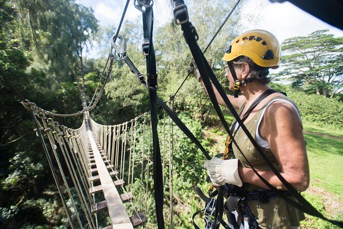 Big Island Kohala Canopy Zipline Adventure - Key Points