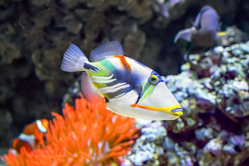 Big Island: Luxury Catamaran Trip along the Kona Coast - Final Thoughts