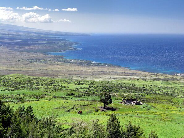 Big Island North Kohala Coast and Pololu Lookout Private Tour - Big Island North Kohala Coast and Pololu Lookout Private Tour — A Complete Guide