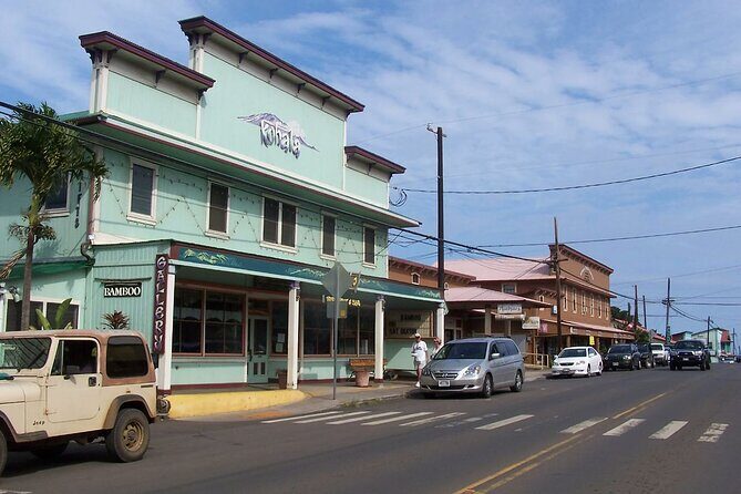 Big Island North Kohala Coast and Pololu Lookout Private Tour - Why This Tour Is a Great Choice