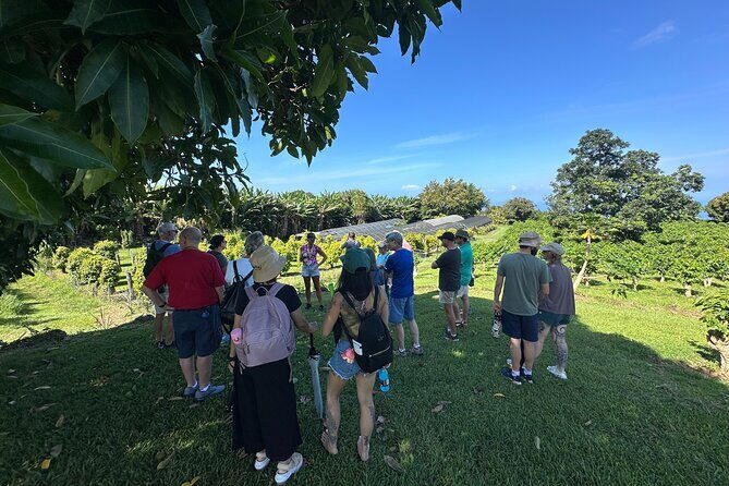 Big Island of Hawaii South Kona Historical Day Tour - Key Points