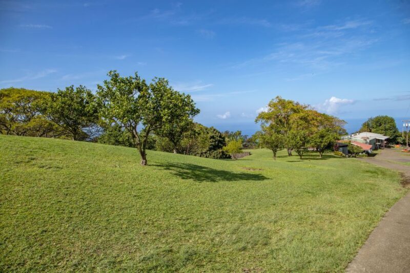 Big Island: Private Island Circle Tour with Lunch and Dinner - Who Is This Tour Best For?