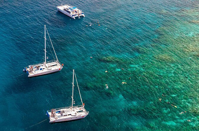 Big Island Snorkel Cruise from Waikoloa - Summary: Who Should Consider This Tour?