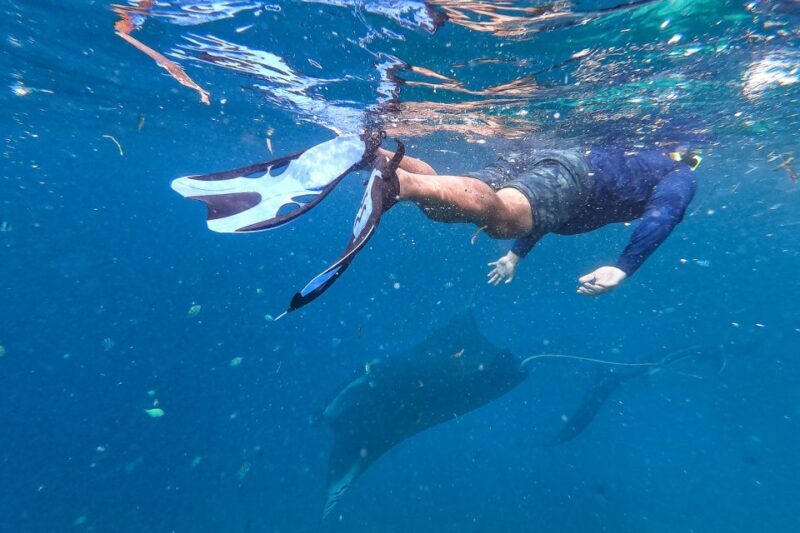 Big Island: Snorkel with Manta Rays - Manta Guarantee - FAQs