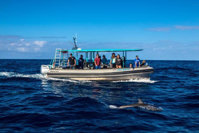 Big Island: South Kona Snorkeling and Coastline Exploration - Why This Tour Is a Great Deal