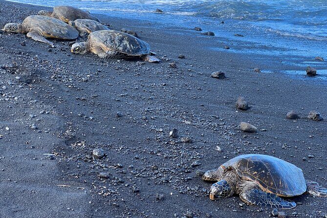 Big Island Tour of East to West - Exploring the Big Island: A Deep Dive into the 10-Hour Tour