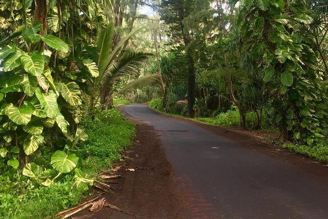 Big Island Volcano Adventure from Kona: Small Group - Frequently Asked Questions