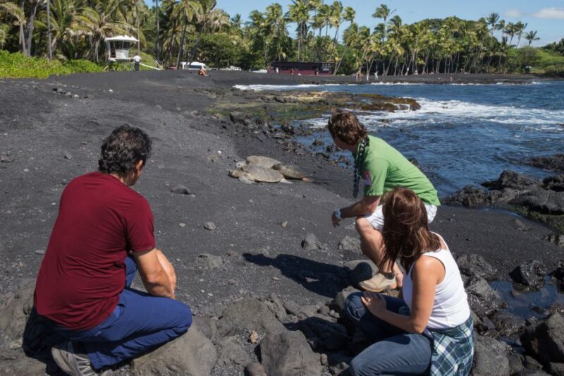 Big Island: Volcanoes, Waterfalls, & Coffee Farm Day-Trip - Final Thoughts