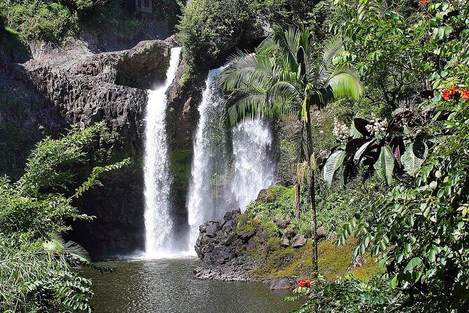 Big Island Waterfall Swim and Hike with Hilo Cruise Ship Pickup - Who Will Love This Tour?