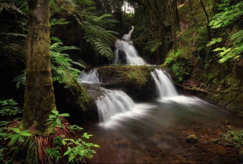 Big Island: Waterfall Tour with Swimming & Botanical Garden - Key Points