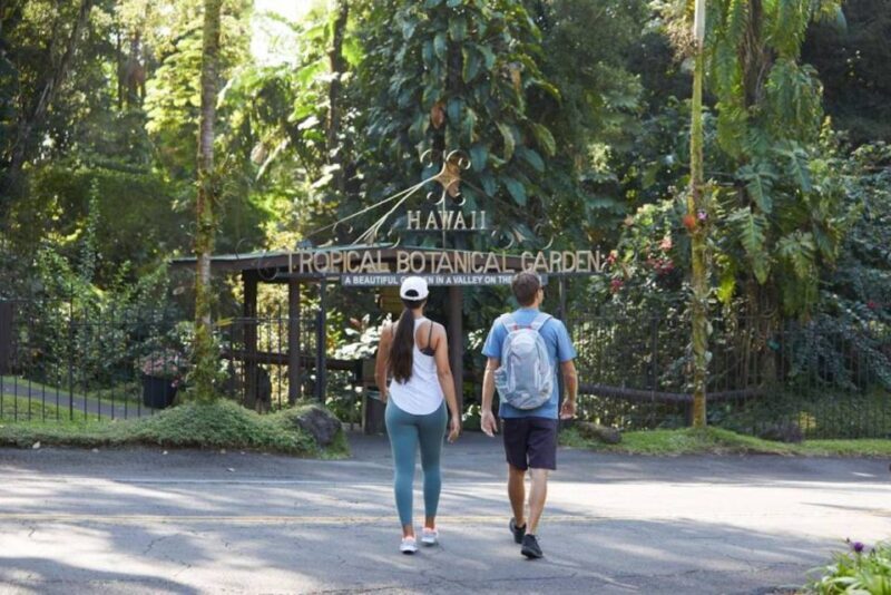 Big Island: Waterfall Tour with Swimming & Botanical Garden - In-Depth Review of the Waterfall & Botanical Garden Tour