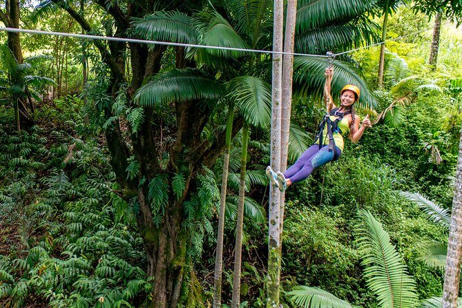 Big Island Zipline Adventure - Big Island Zipline Adventure: A Thrilling Ride Through Hawaii’s Green Heart