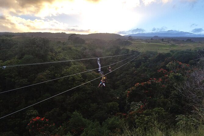 Big Island Zipline Adventure - Key Points