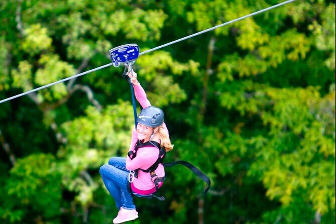 Big Island Zipline over KoleKole Falls - Big Island Zipline over KoleKole Falls: A Thrilling Aerial Adventure